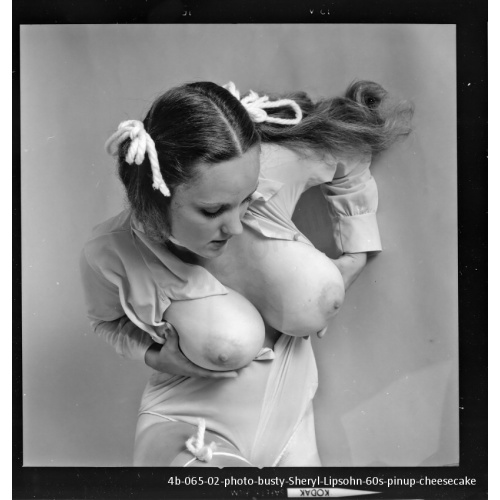 254-4b-065-02-photo-busty-Sheryl-Lipsohn-60s-pinup-cheesecake  VINTAGE ORIGINAL CONTACT PHOTO
